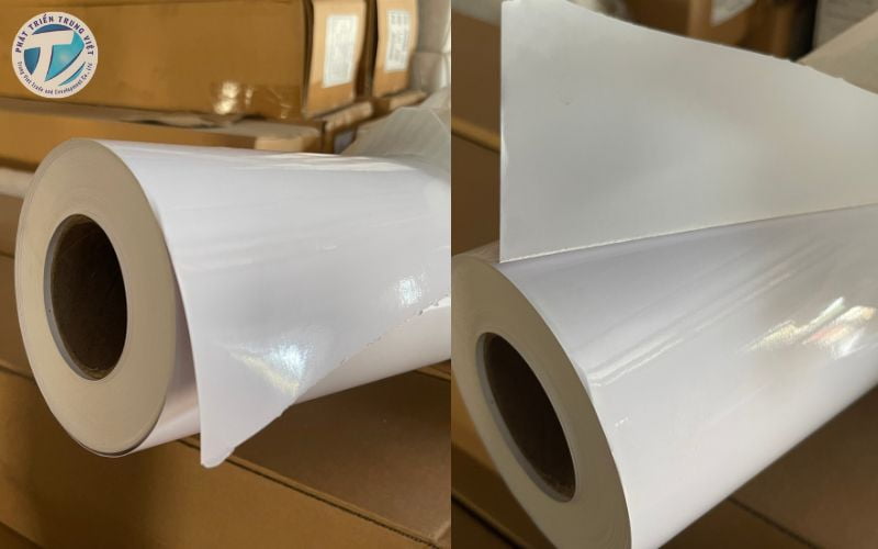 Giấy in đóng vai trò quan trọng trong ngành công nghiệp in ấn